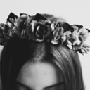 andromedasighs avatar