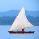 ands0thest0ryg0es avatar