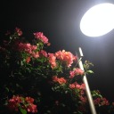 andthenshebleed avatar