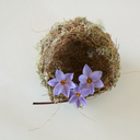 andthenstraightontillmorning avatar