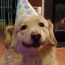 andthentheresmel avatar