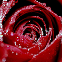 andthentheresthiscastle avatar