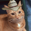 andy444-blog1 avatar