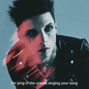 andybierscklove avatar