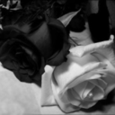 andykitty36love-blog avatar