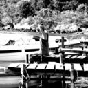 andyouhavemypumpkin avatar