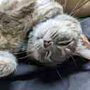 andys-corner2 avatar