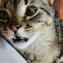 andytheauthor avatar