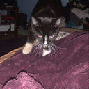 andywhore-hol avatar