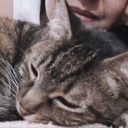 andywildsworld avatar