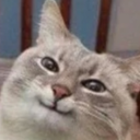 anecdotal-evidence avatar