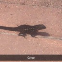 anecdotalaphid93 avatar