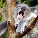 anendinmyself avatar