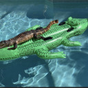 anepicalligator avatar