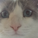 anetapoland-blog avatar