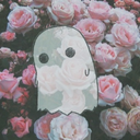 aneverythingisshituniverse-blog avatar