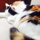 anexistentialeggwhite avatar