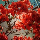 anextremelyseriousbookneerd avatar