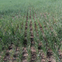 aneyeforaneyemakingtheworldblind avatar