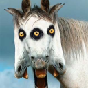 angel-killer-666 avatar