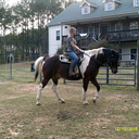 angel-of-goodbyes avatar