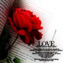 angel-s-heaven avatar