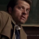 angel-wing-feathers avatar