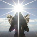 angel1qued0ll avatar