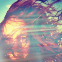 angelacollier avatar