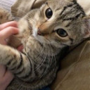 angelaisnothere avatar