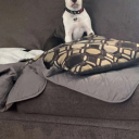 angelbl00d111 avatar