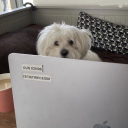 angelburns666 avatar