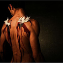 angelcaidoporamor avatar