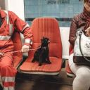 angelheart-ftw avatar