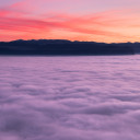 angelic-flower-universe avatar