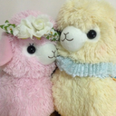 angelicalpacassos avatar