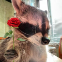 angelicasstupidblog avatar