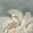 angelicaurore avatar