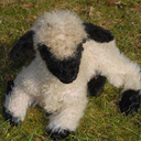 angelicfaggot avatar