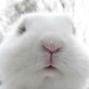 angelicwarmth avatar