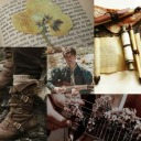 angelicwolfpup avatar