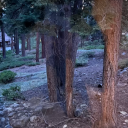 angelicwonderland avatar