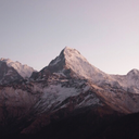 angelina---ballerina avatar