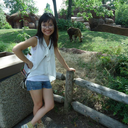 angelina-yang-ceramics-artist avatar