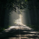 angelinagembara avatar