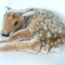 angellicdecay avatar