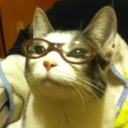 angelllys avatar