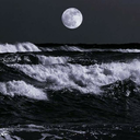 angelocaduto21 avatar