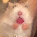 angels-and-aliens avatar