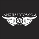 angels-fotos avatar